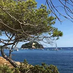 Les Mimosas, Hameau De Cabasson, A 400m De La Et Du De Bregancon, Classee 3 Etoiles, De 2 A 8 Personnes Bormes-les-Mimosas