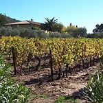 Villa Les Mimosas, Hameau De Cabasson, A 400m De La Et Du De Bregancon, Classee 3 Etoiles, De 2 A 8 Personnes Bormes-les-Mimosas