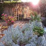 Les Mimosas, Hameau De Cabasson, A 400m De La Et Du De Bregancon, Classee 3 Etoiles, De 2 A 8 Personnes Villa *