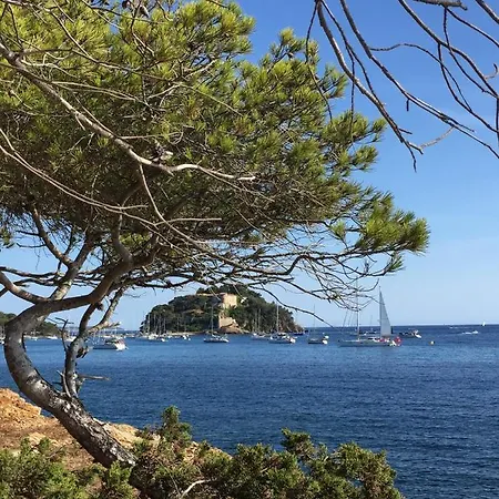 Les Mimosas, Hameau De Cabasson, A 400m De La Et Du De Bregancon, Classee 3 Etoiles, De 2 A 8 Personnes Bormes-les-Mimosas