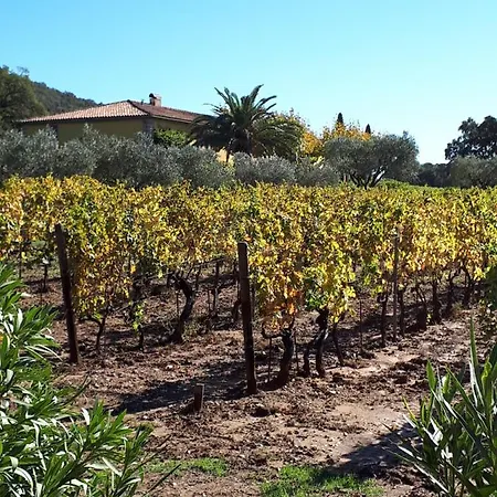 Villa Les Mimosas, Hameau De Cabasson, A 400m De La Et Du De Bregancon, Classee 3 Etoiles, De 2 A 8 Personnes Bormes-les-Mimosas